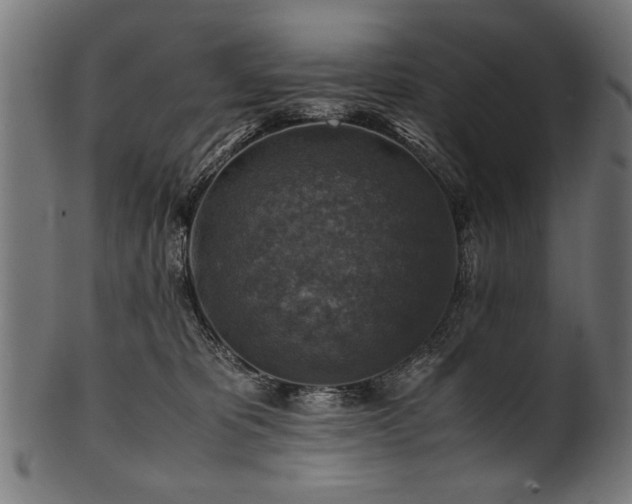 X0000100950325200806241509