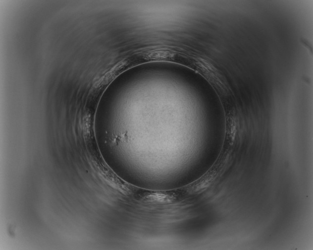 X0000100950326200806241509