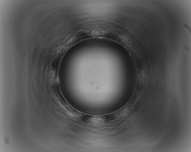 X0000100950327200806241509