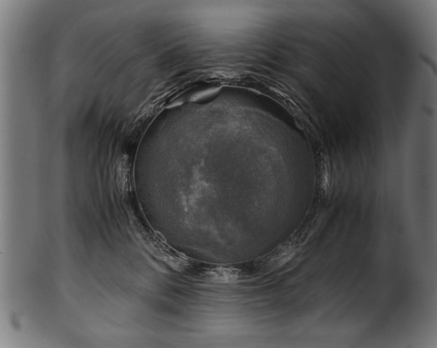 X0000100950328200806241509