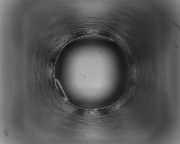 X0000100950329200806241509