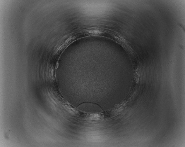 X0000100950330200806241509
