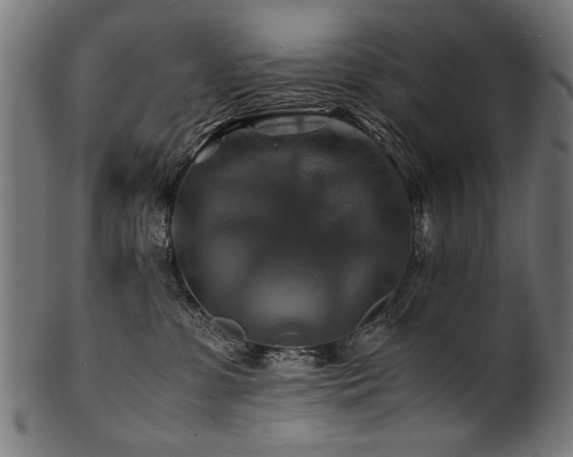 X0000100950331200806241509