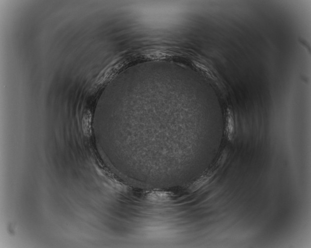 X0000100950332200806241509
