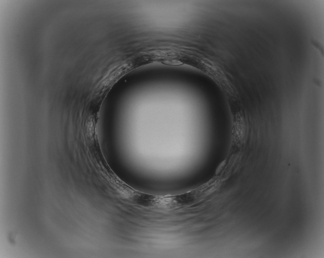 X0000100950333200806241509