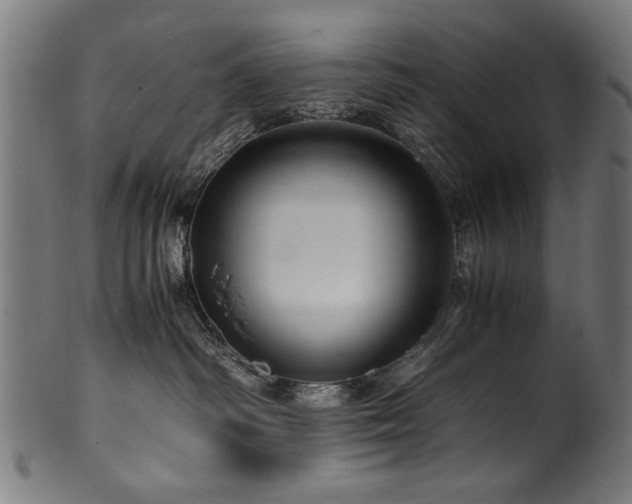 X0000100950334200806241509