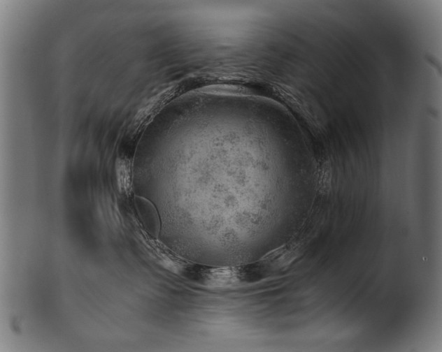 X0000100950335200806241509