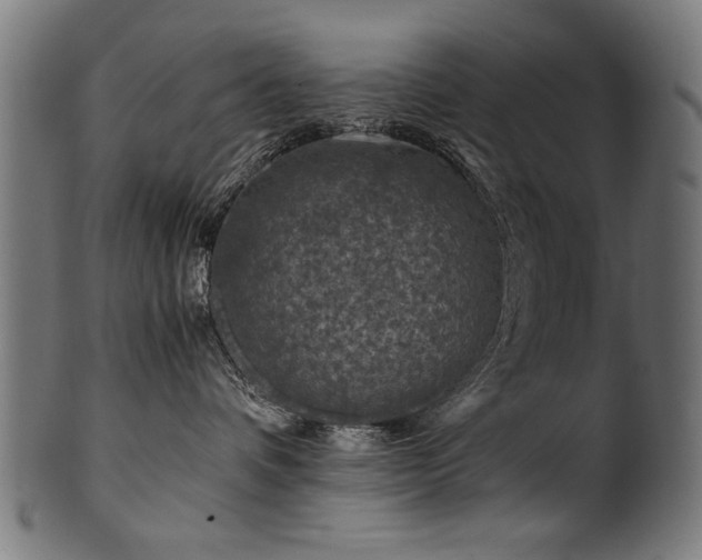 X0000100950336200806241509