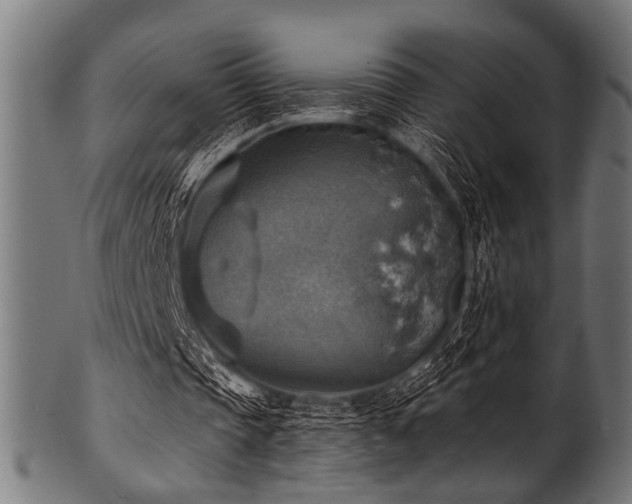 X0000100950337200806241509