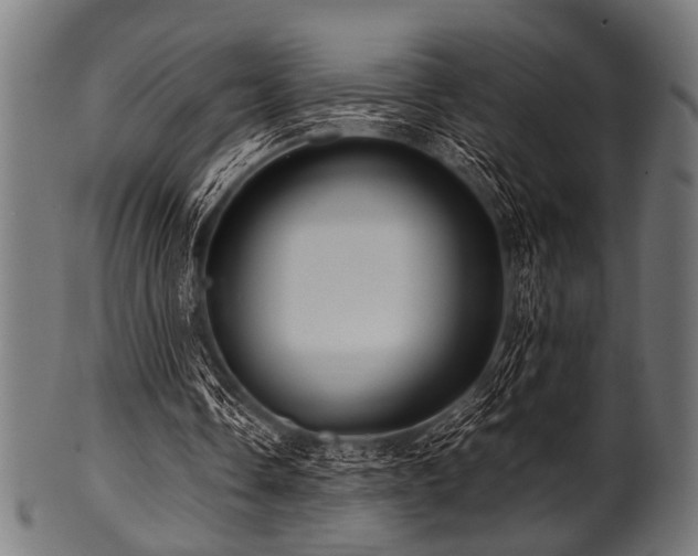 X0000100950338200806241509