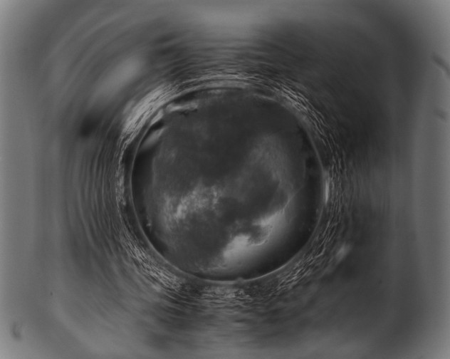 X0000100950339200806241509
