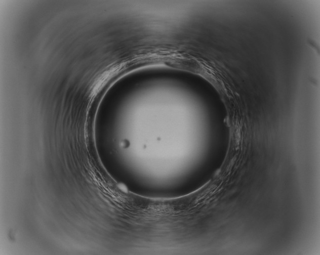 X0000100950340200806241509
