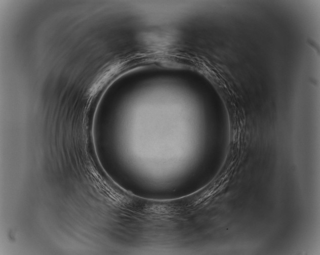 X0000100950341200806241509