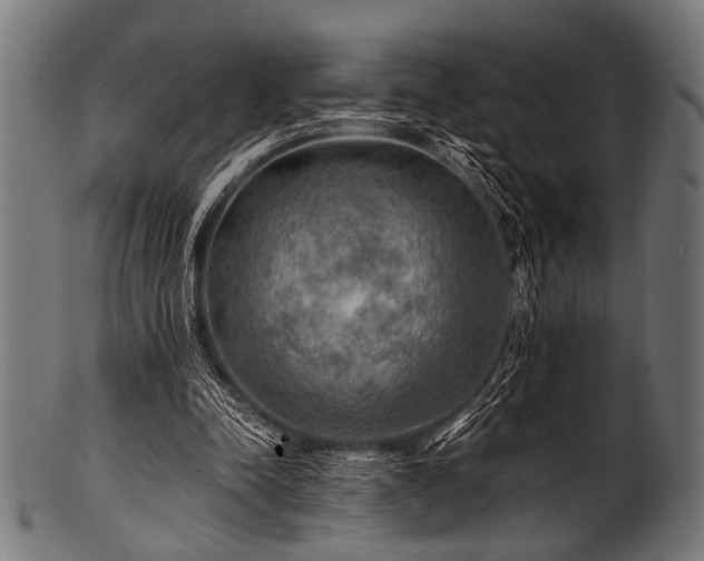 X0000100950342200806241509