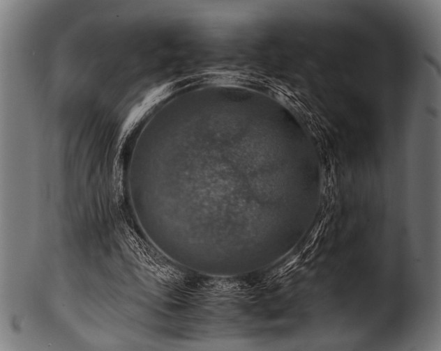 X0000100950343200806241509