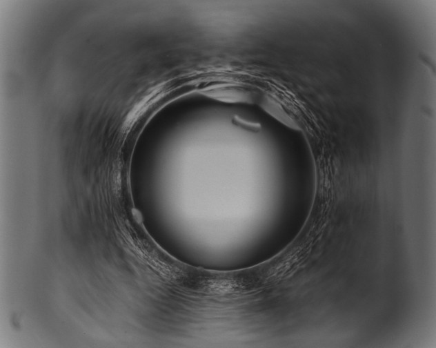 X0000100950344200806241509
