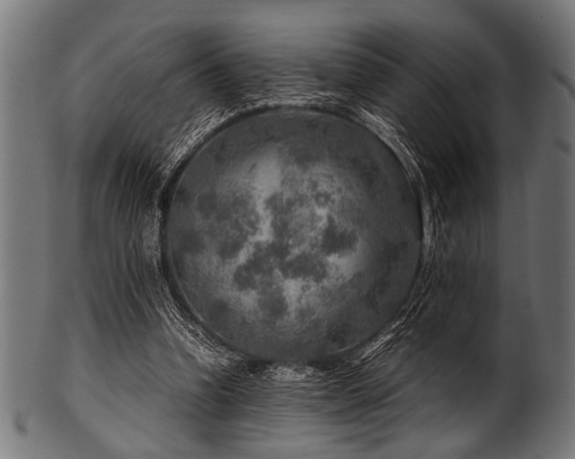 X0000100950346200806241509