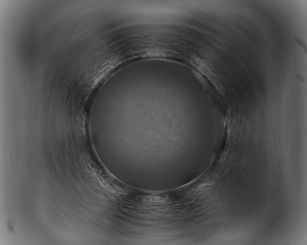 X0000100950347200806241509