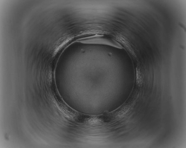 X0000100950348200806241509