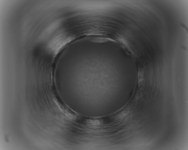 X0000100950349200806241509