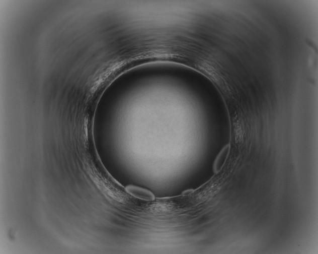 X0000100950350200806241509