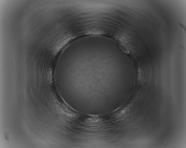 X0000100950351200806241509