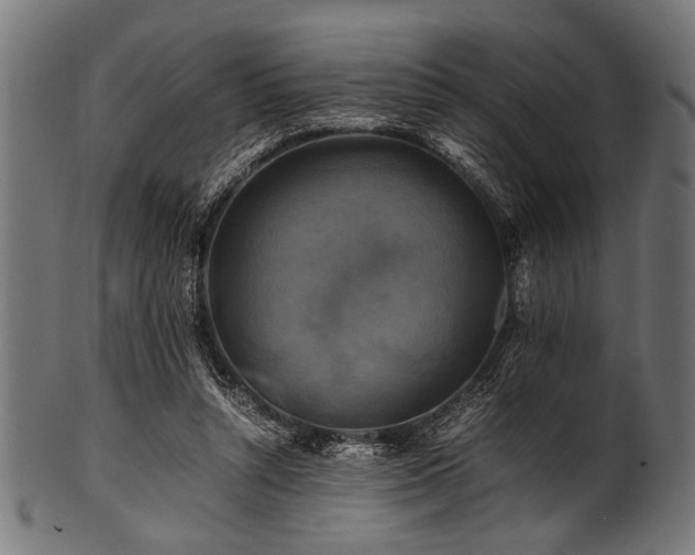 X0000100950352200806241509