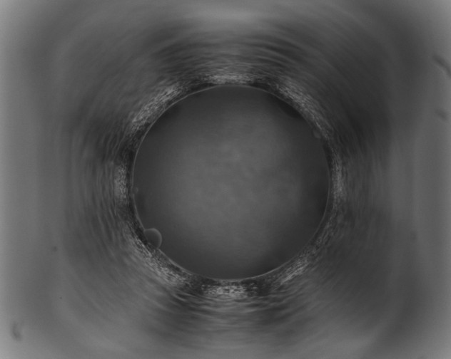 X0000100950353200806241509