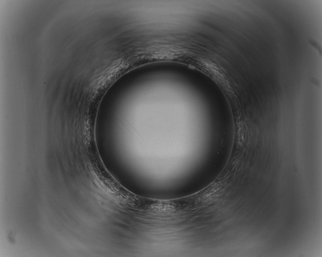 X0000100950354200806241509