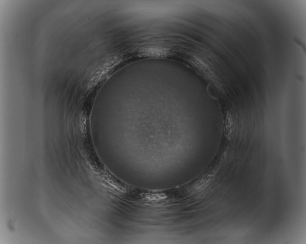 X0000100950355200806241509