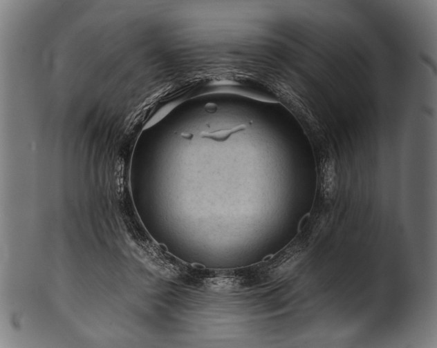 X0000100950356200806241509