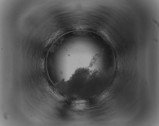 X0000100950357200806241509