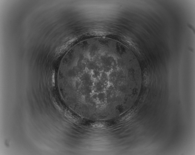 X0000100950358200806241509