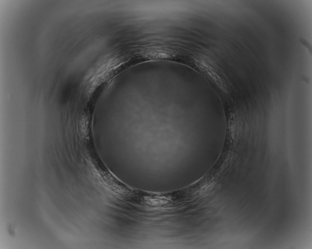 X0000100950359200806241509