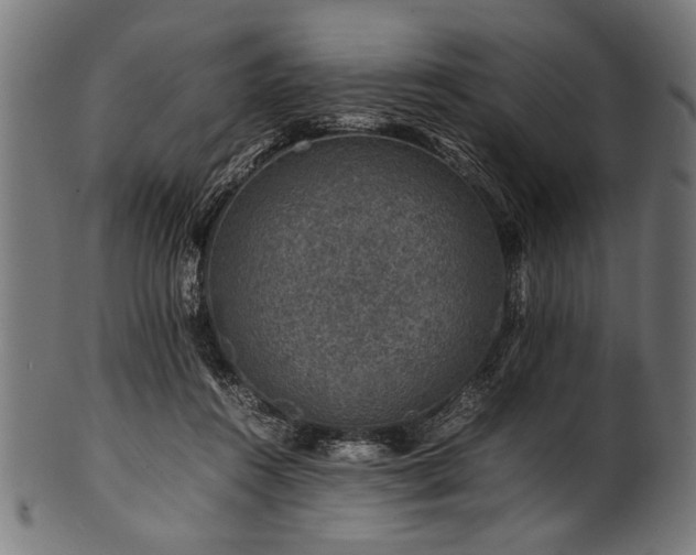 X0000100950360200806241509