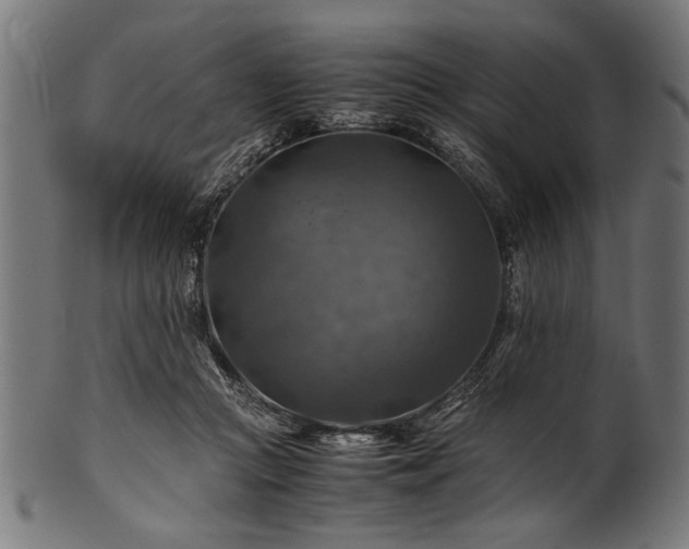 X0000100950361200806241509
