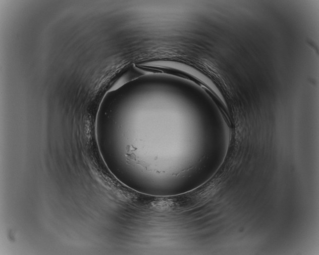 X0000100950362200806241509