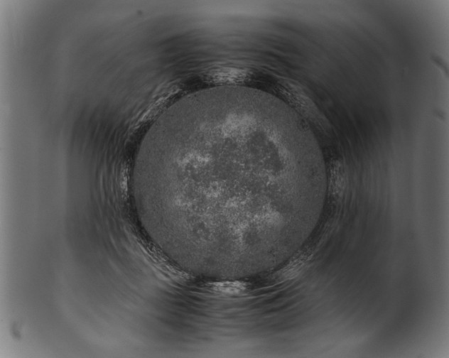 X0000100950363200806241509