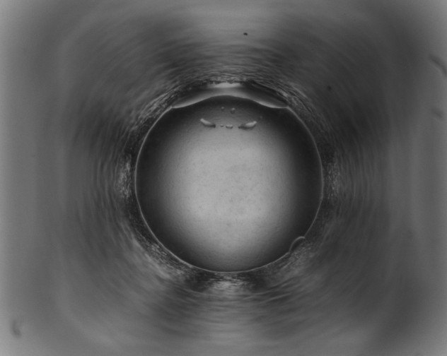 X0000100950364200806241509