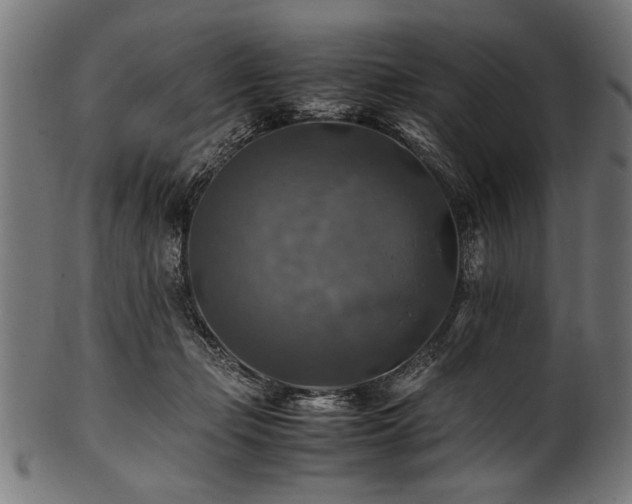 X0000100950365200806241509