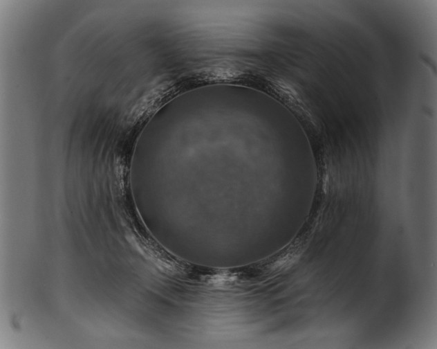 X0000100950366200806241509