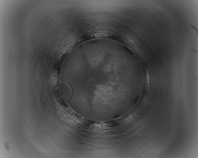 X0000100950367200806241509
