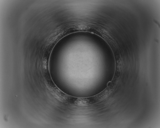 X0000100950368200806241509