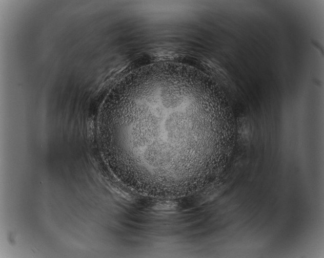 X0000100950369200806241509