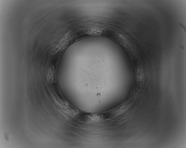 X0000100950370200806241509