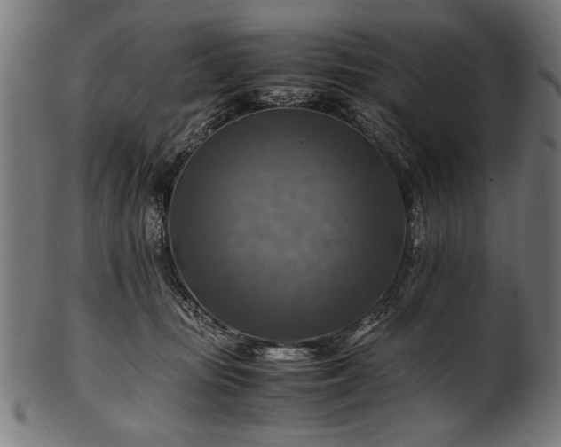 X0000100950371200806241509