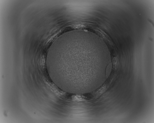 X0000100950372200806241509