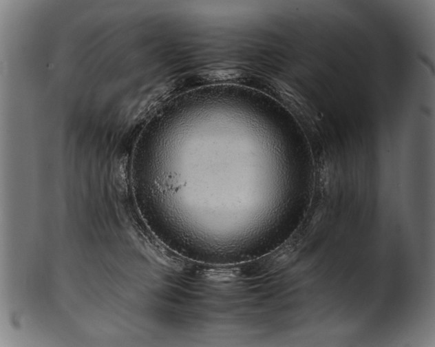 X0000100950373200806241509