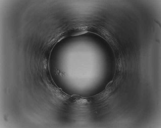 X0000100950374200806241509
