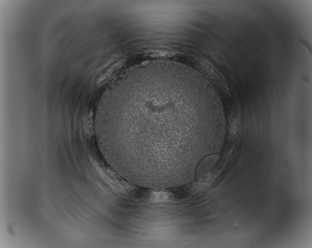 X0000100950376200806241509